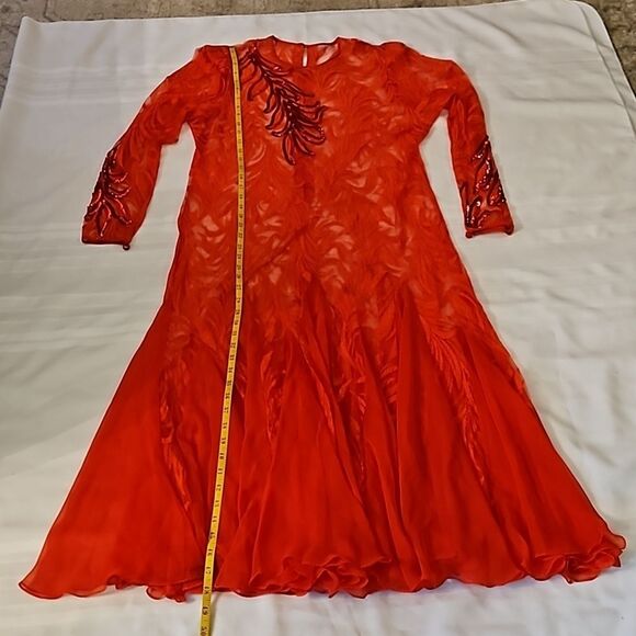 Vintage Sheer Red Lace Whimsigoth Maxi Gown size Large - Picture 12 of 12